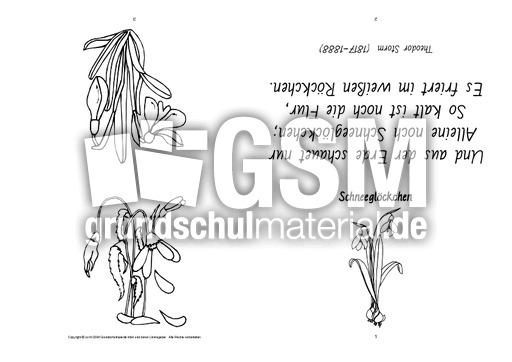 Faltbuch-Schneeglöckchen-Storm-SW.pdf